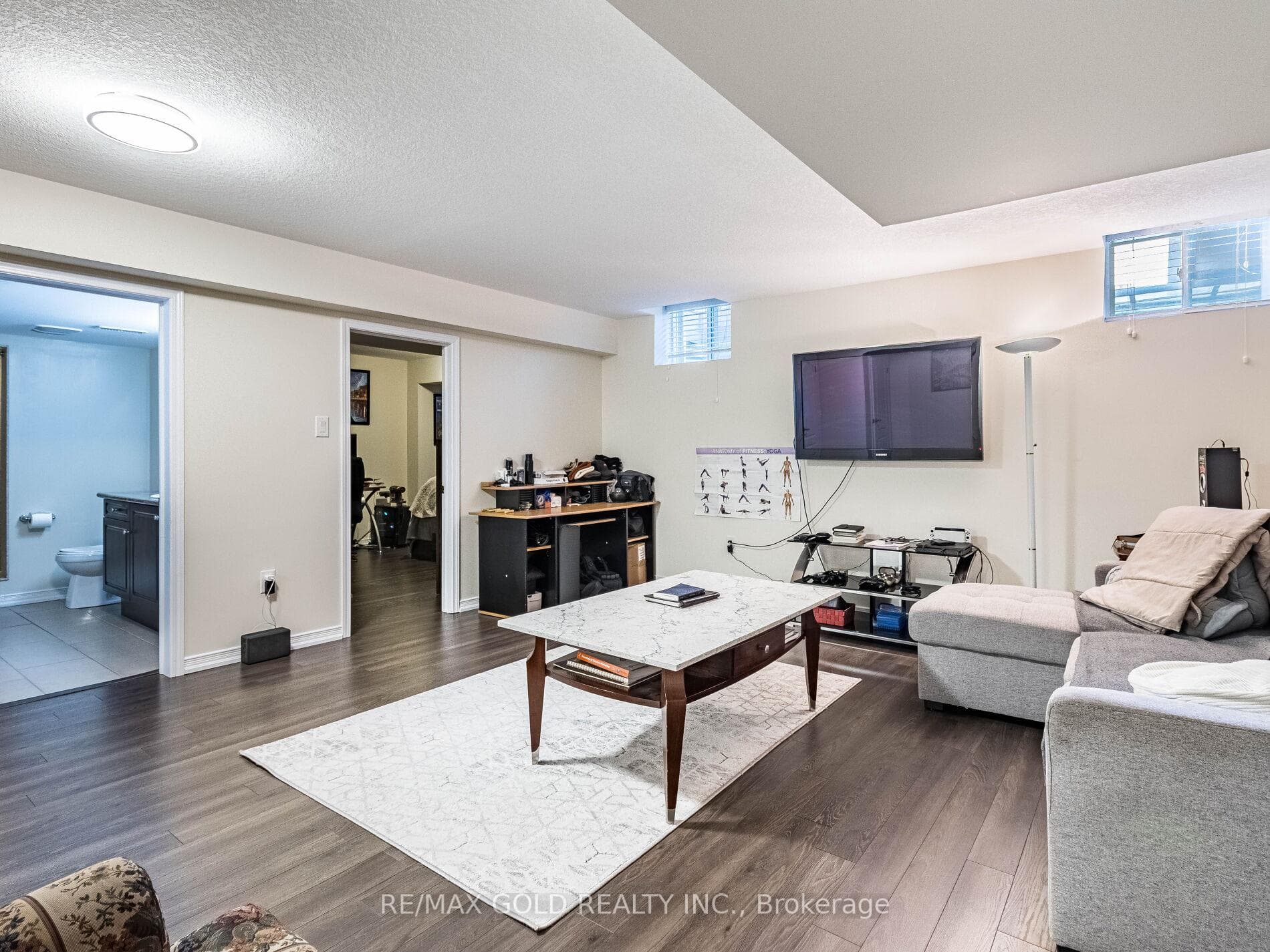 Basement Living Room