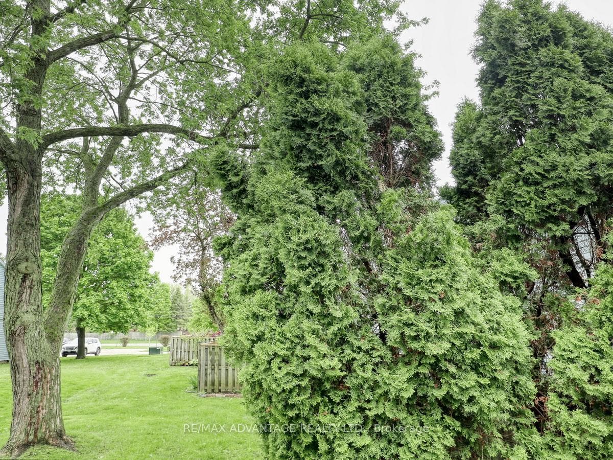132 Monmore Road photo 46