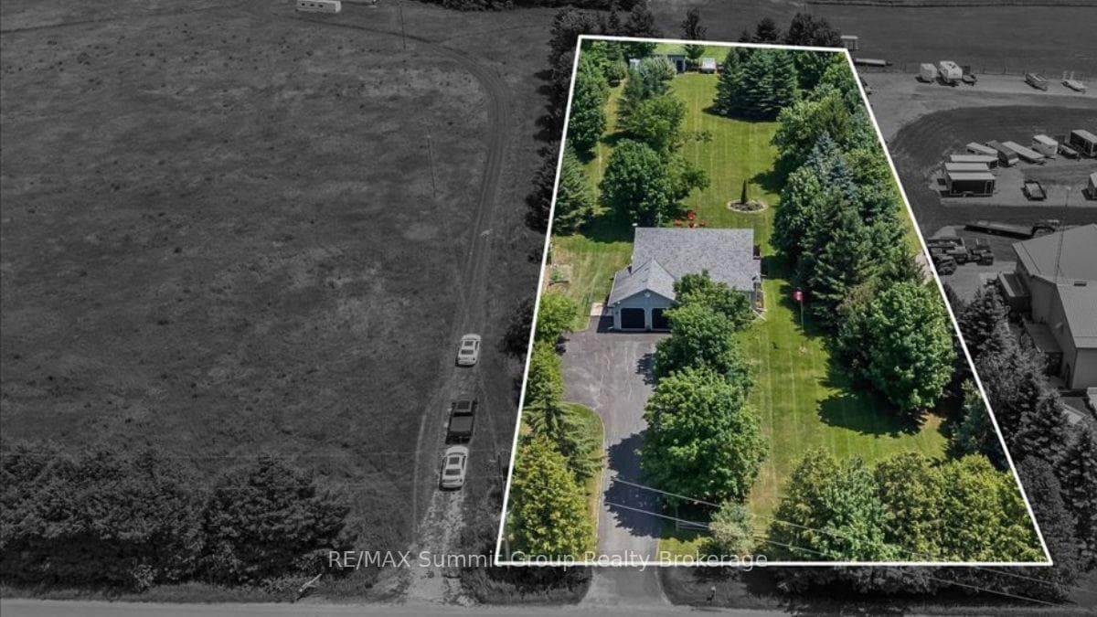 556017 Mulmur-Melancthon Townline photo 44