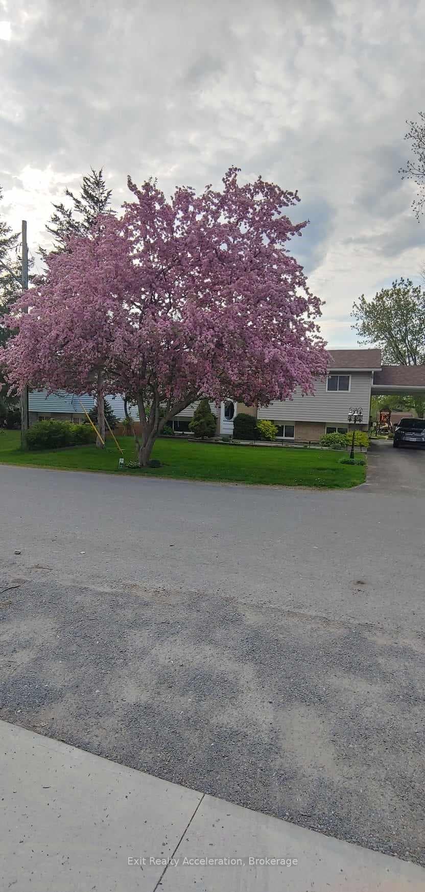 253 Cross Street photo 1