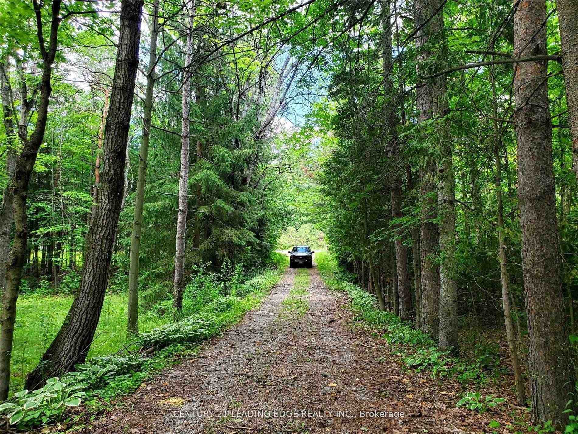 4035 Aurora Road photo 5