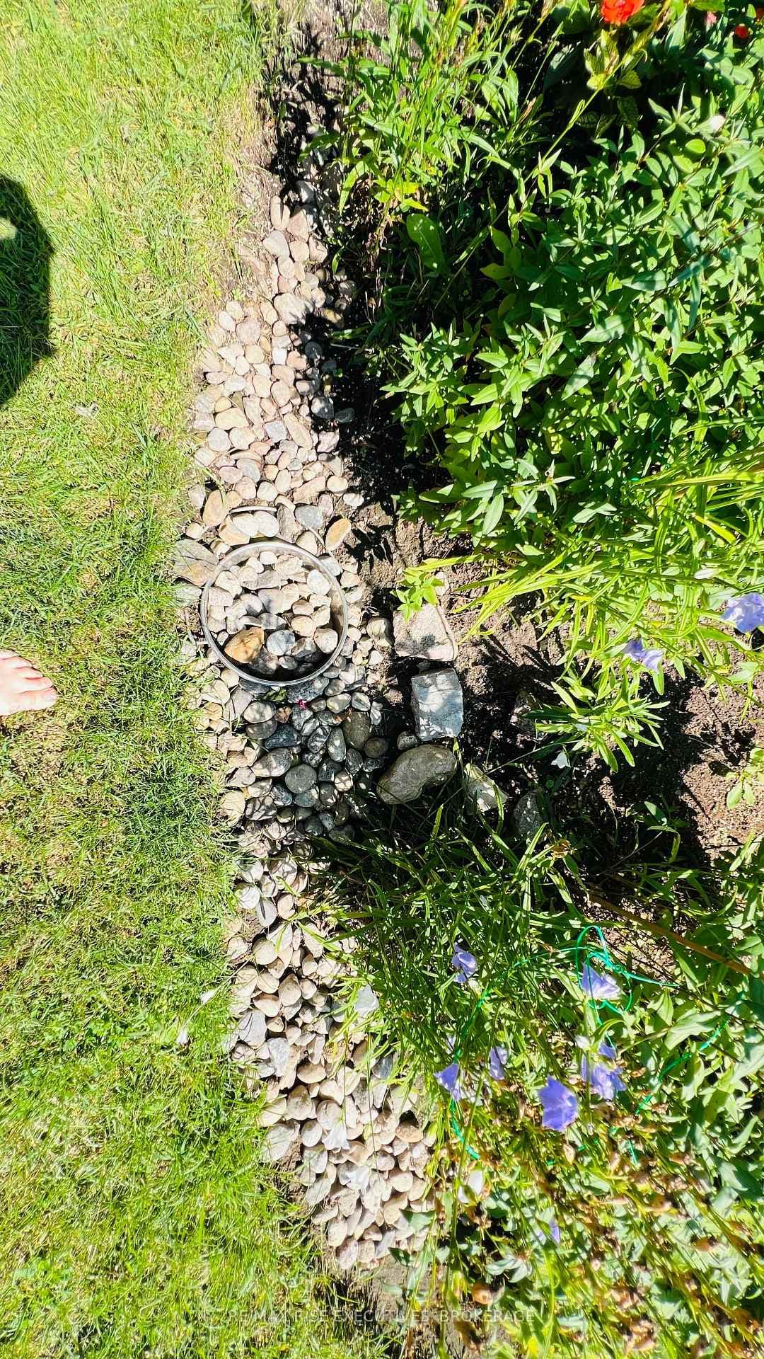 French drain in backyard