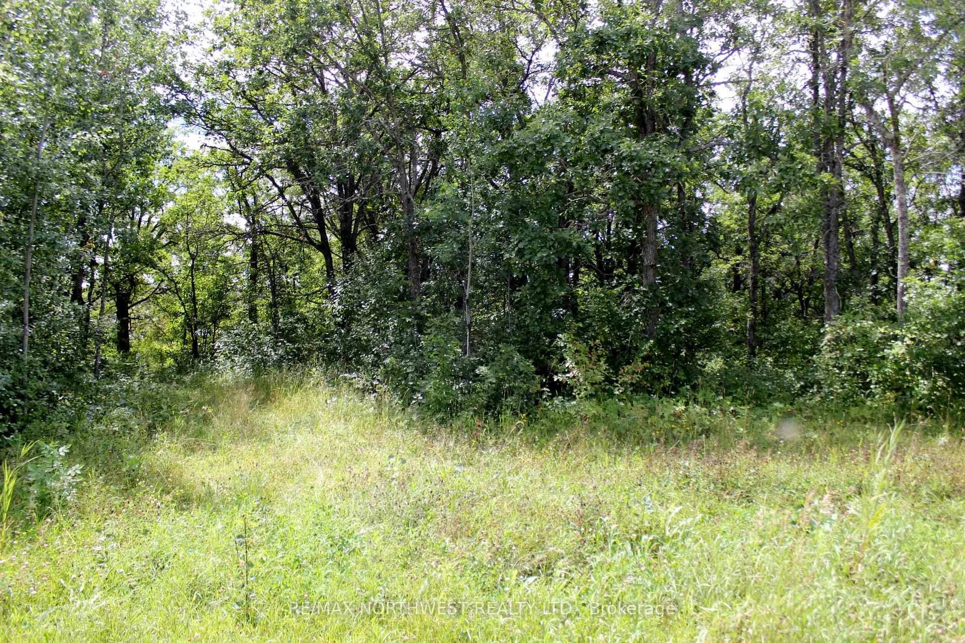 220 MORRISON RD photo 14