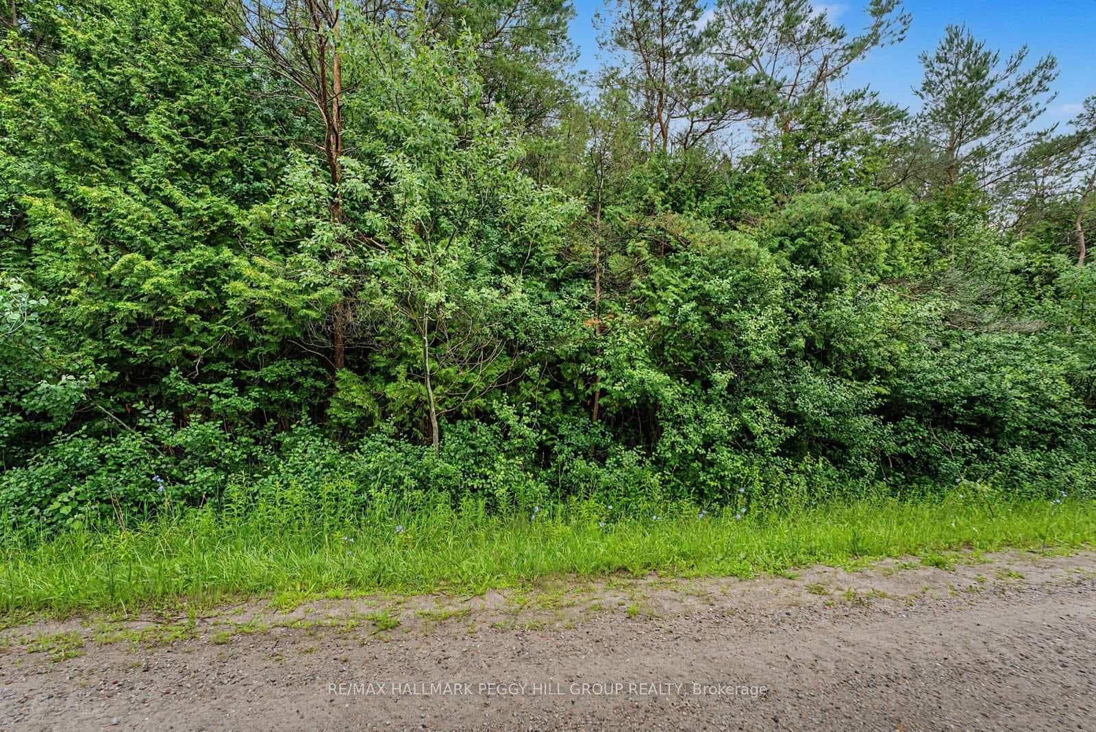 1659 County Road 92 N/A photo 4