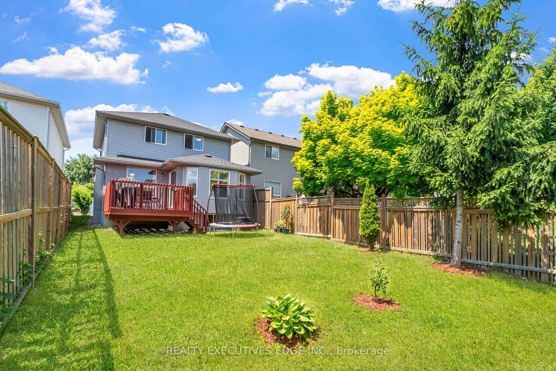 17 Beattie Street photo 35