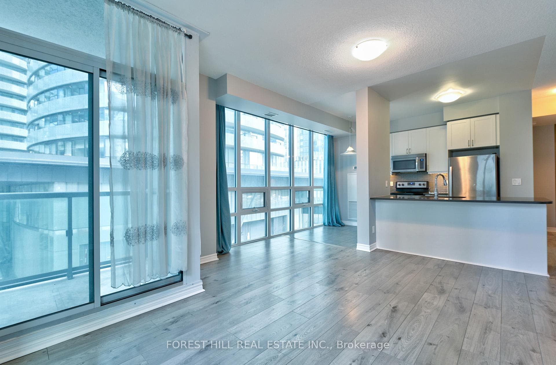 19 Grand Trunk Crescent Unit 306 photo 12