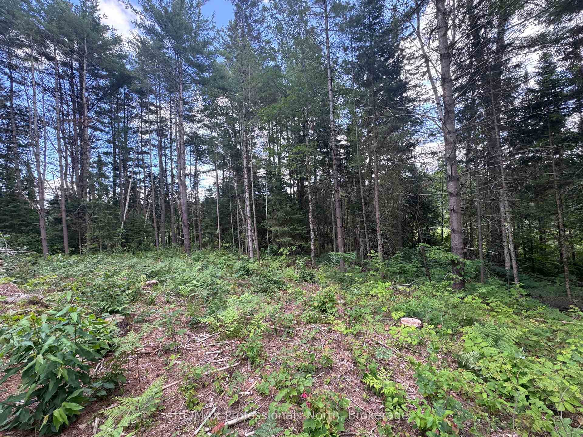 1075 Kushog Lake Road photo 23