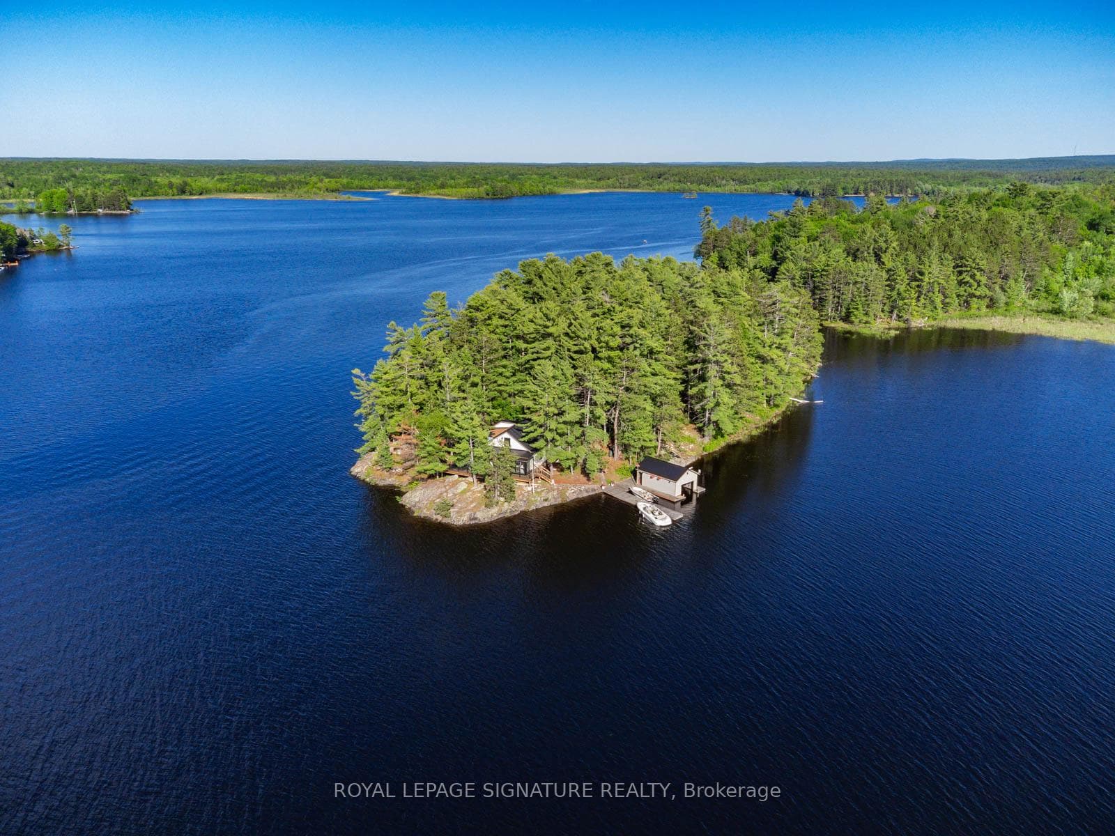 2 Dad's Rest Island photo 39