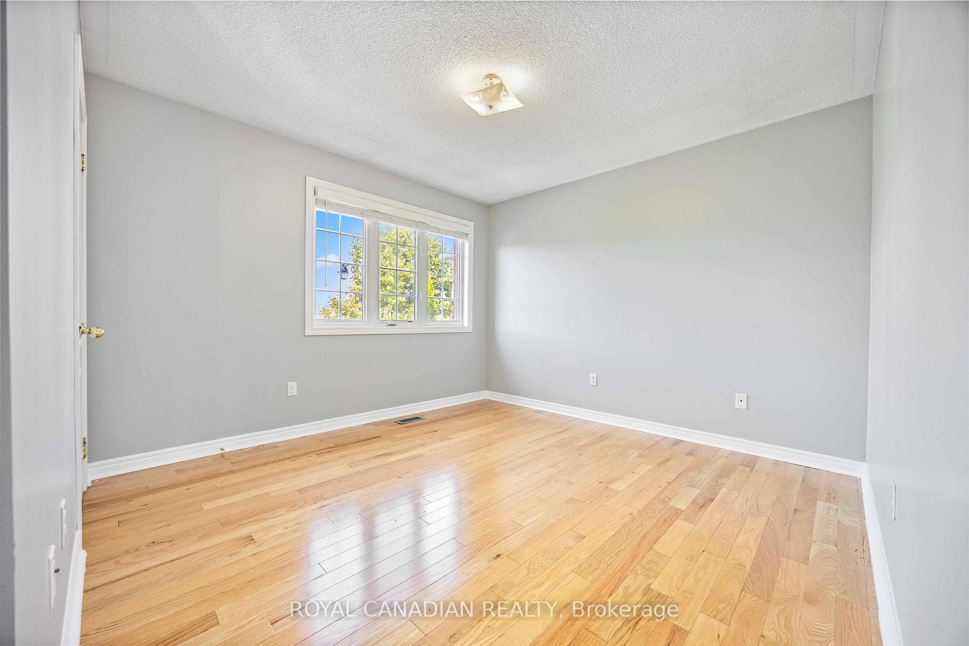 10 Pogonia Street photo 23