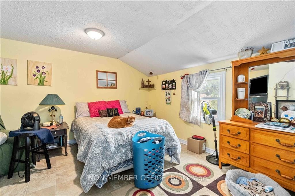 11 JOHNSTON Street photo 13