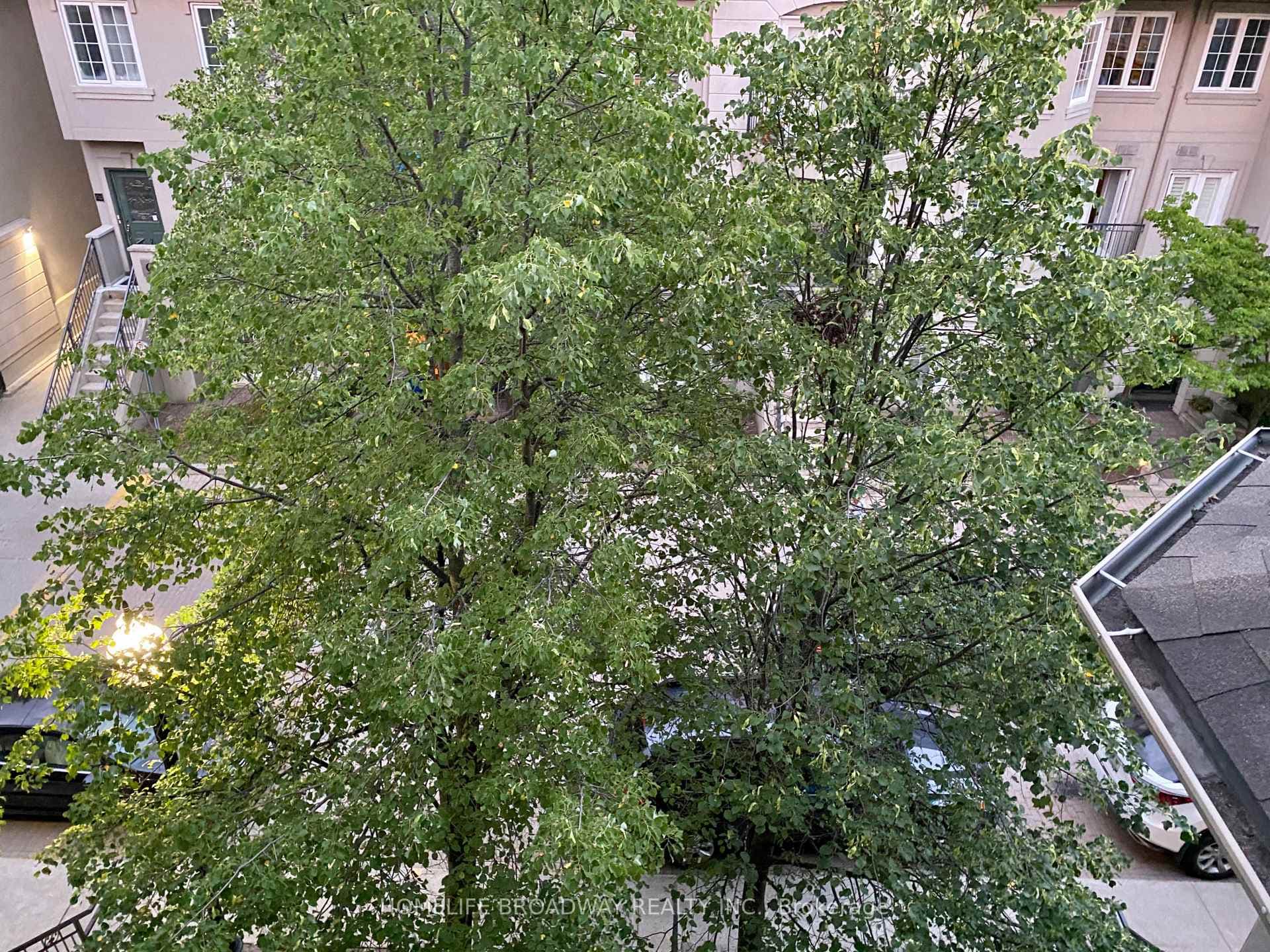 108 Finch Avenue Unit B38 photo 13