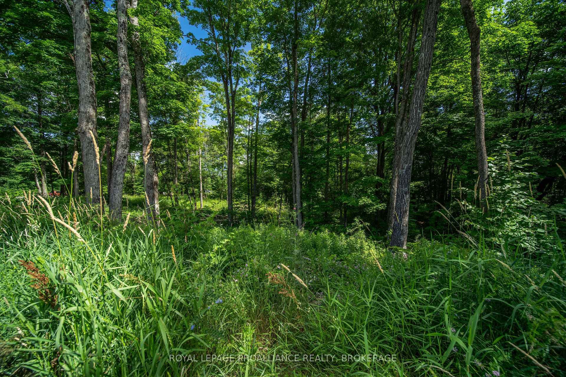 Lot 18, Part 3 Townline Road photo 7