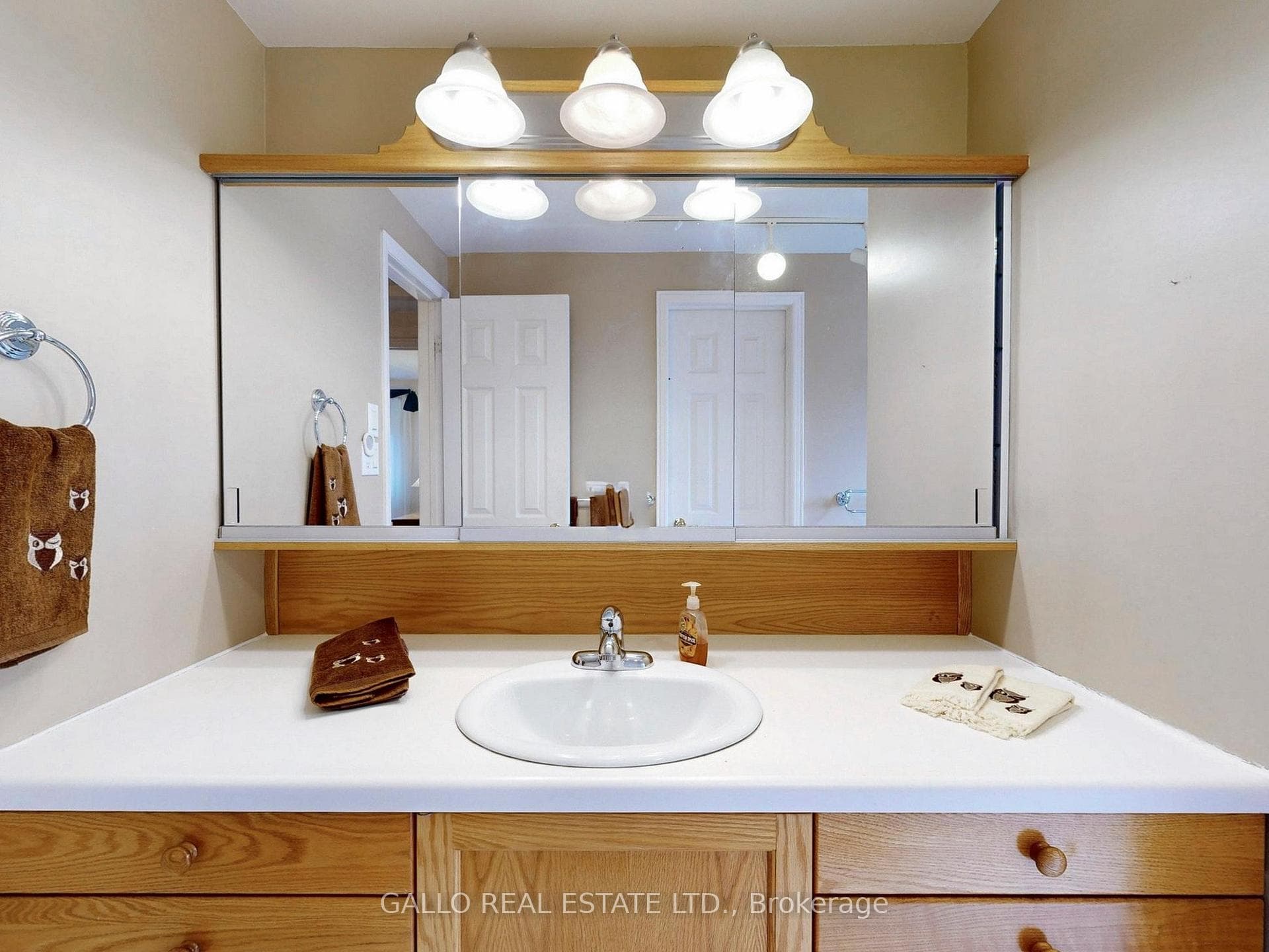 155 Goldhawk Trail photo 17