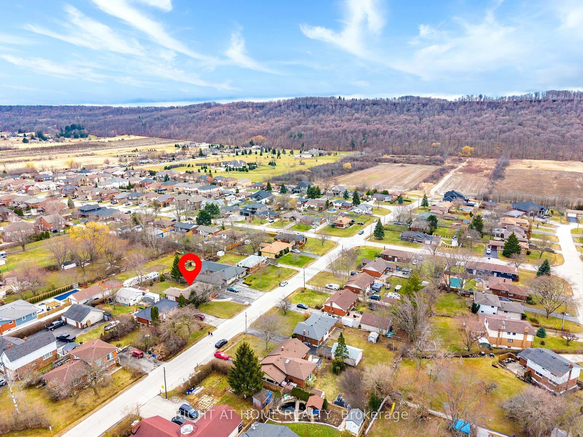 Views of the Escarpment