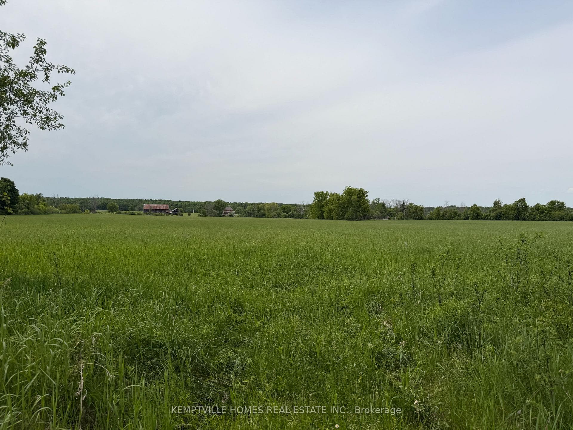 00 RICHARDSON Road photo 22