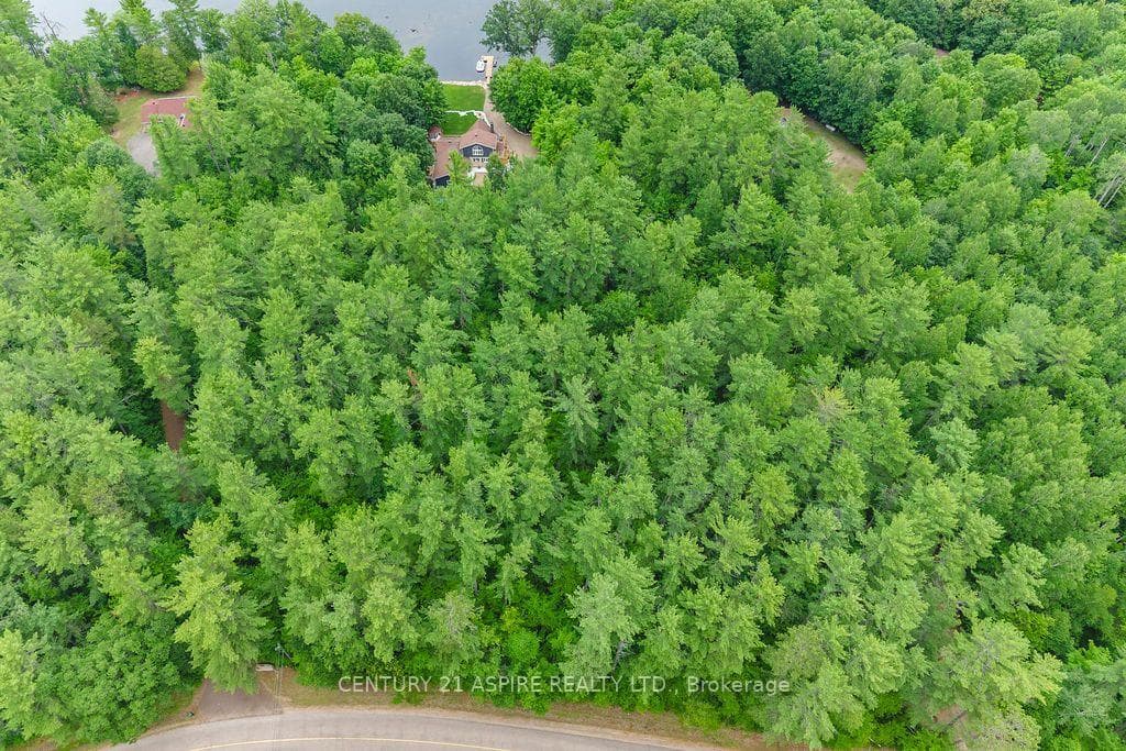 978 Rantz Road photo 49