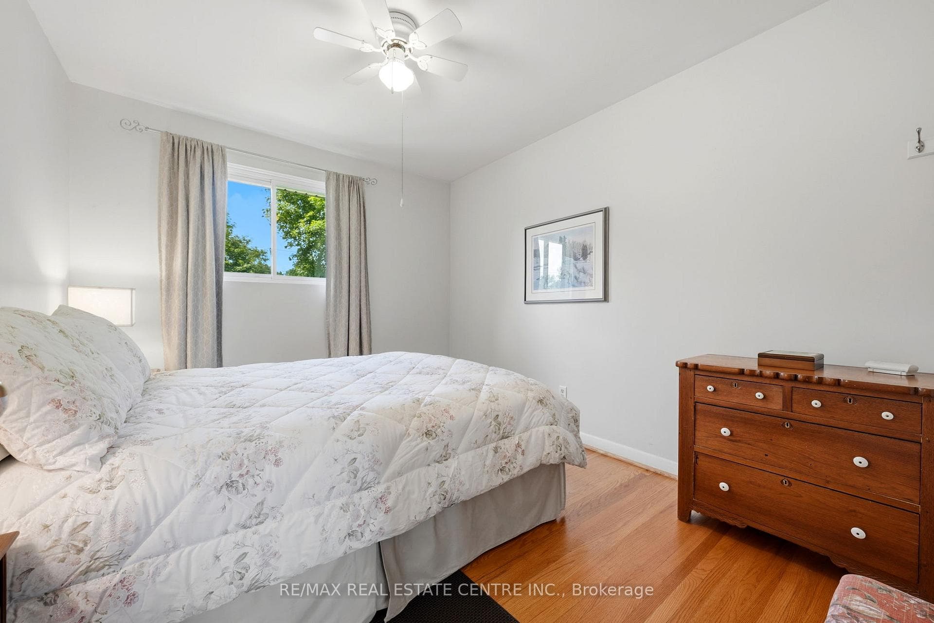 5 Hale Drive photo 23