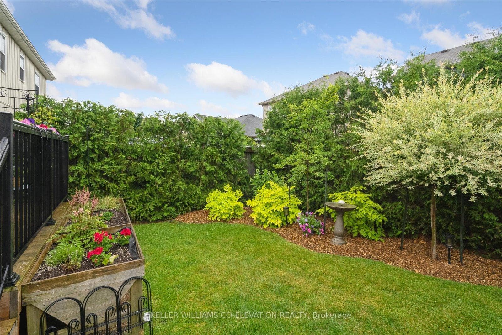 Landscaped backyard
