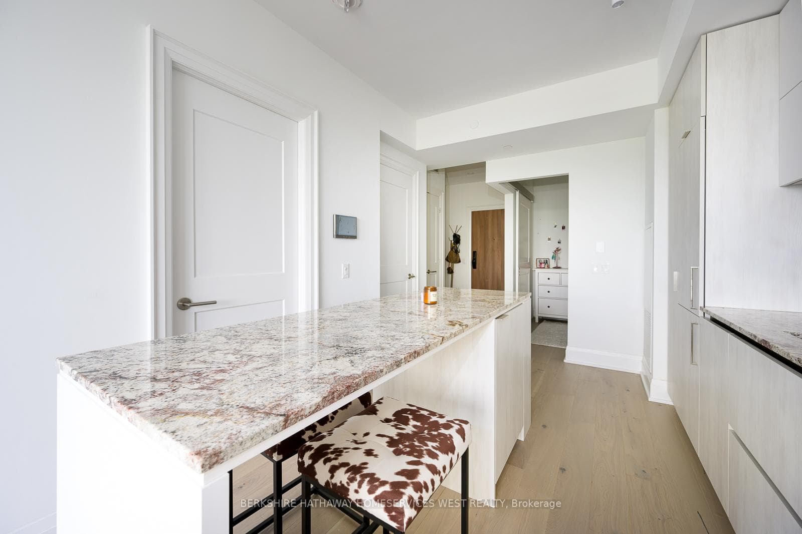 21 Park Street Unit 1009 photo 10
