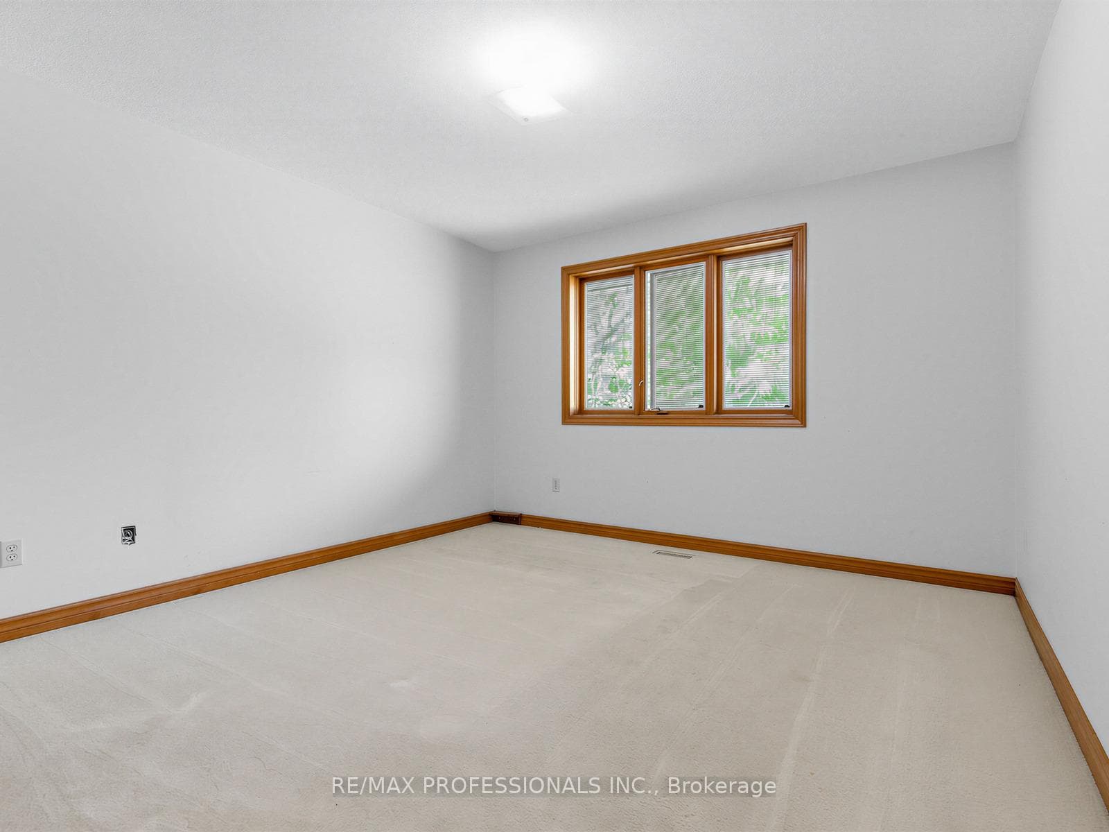 157 Coon's Road photo 34