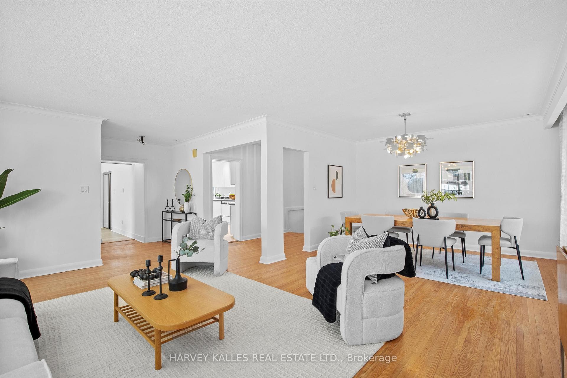 121 Hove Street photo 8