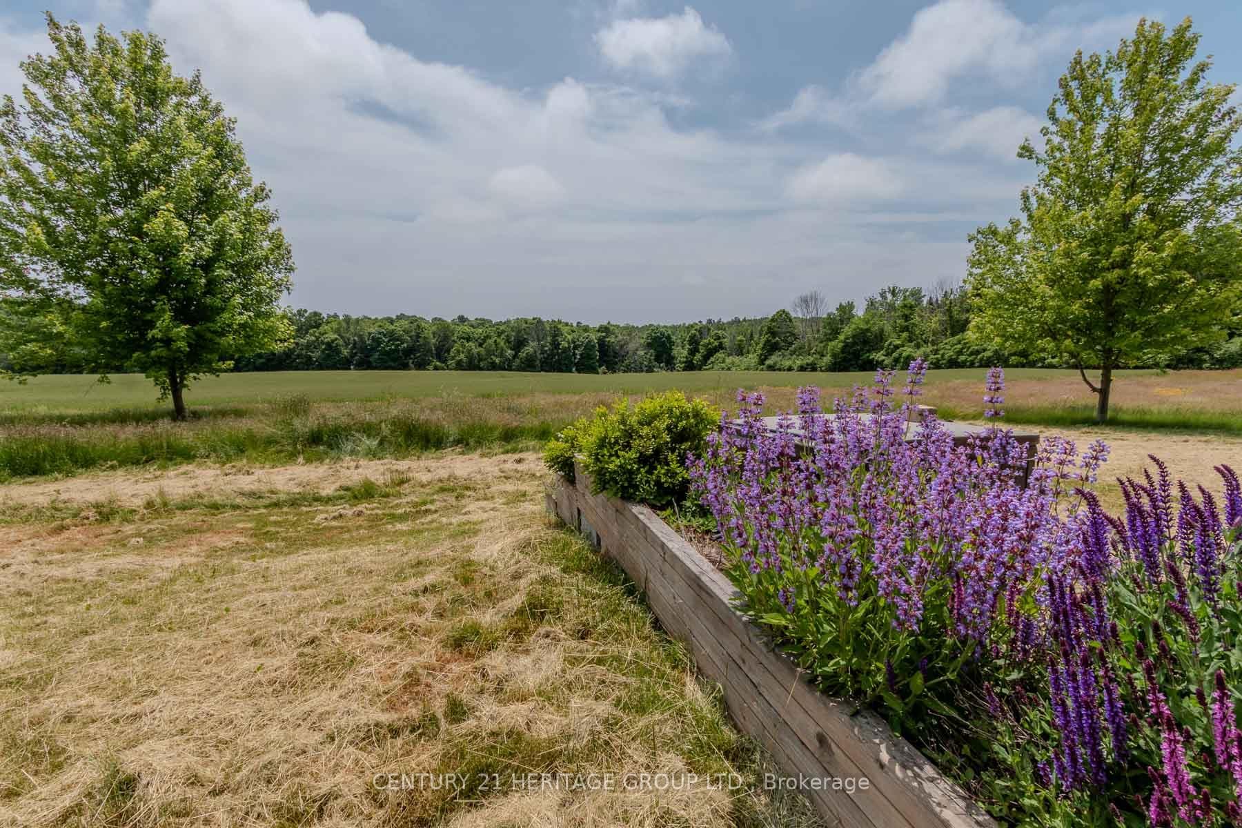 221 Boyle Road photo 41