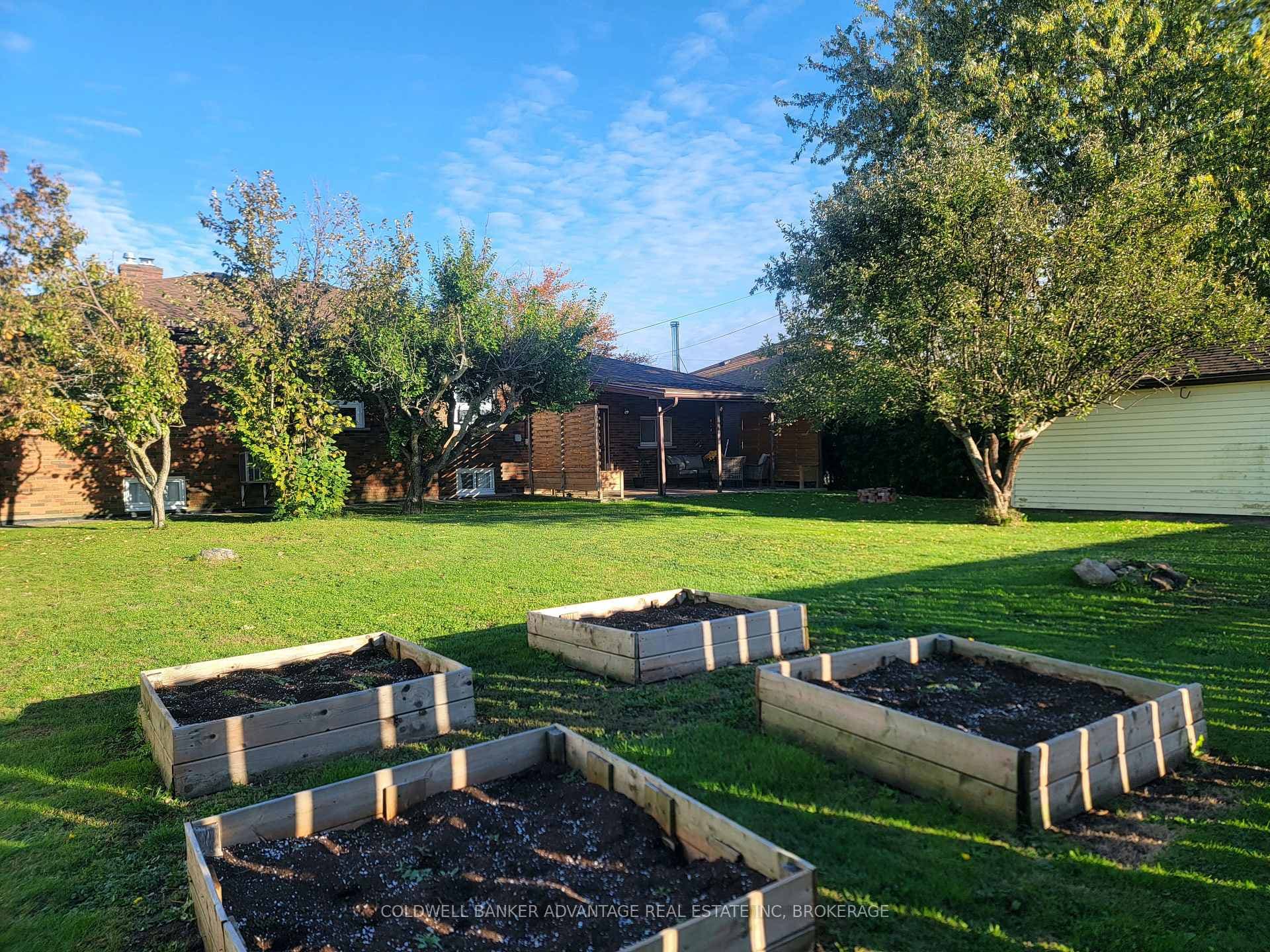 Fenced In Backyard Garden Boxes