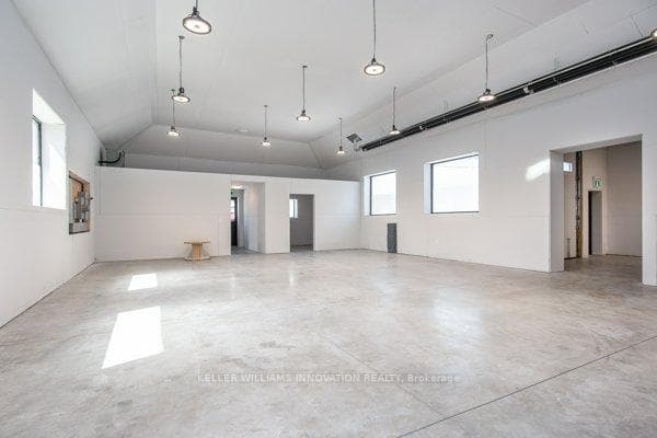 17 Jarvis Street photo 6