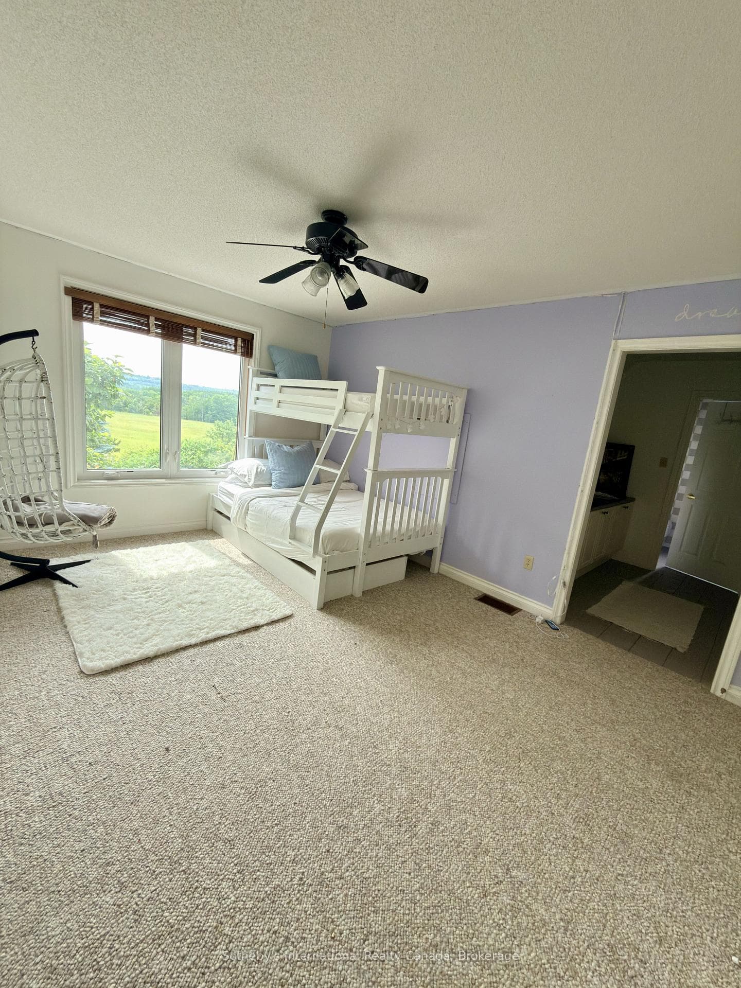 203 SKI HILL Road photo 28