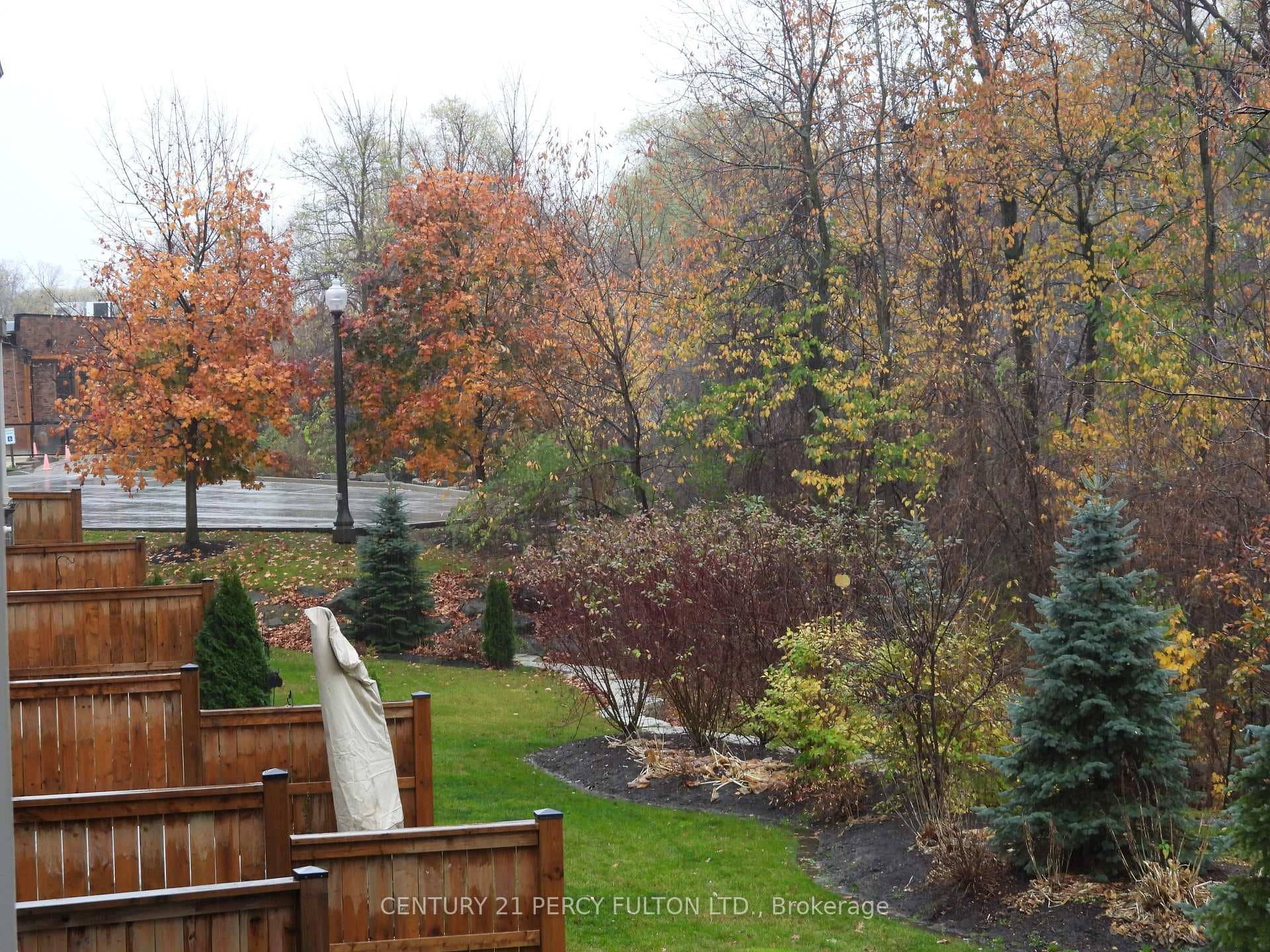 Rear yards along creek
