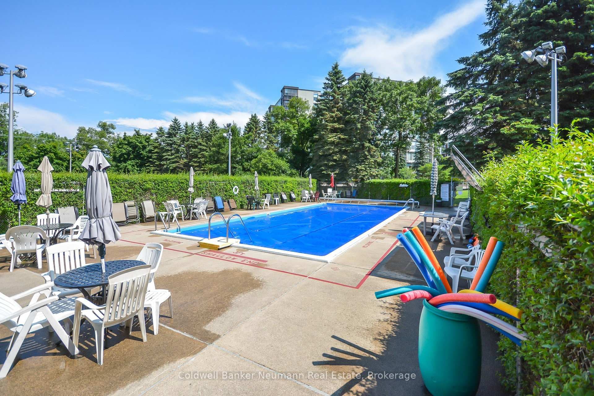 23 Woodlawn Road Unit 305 photo 45