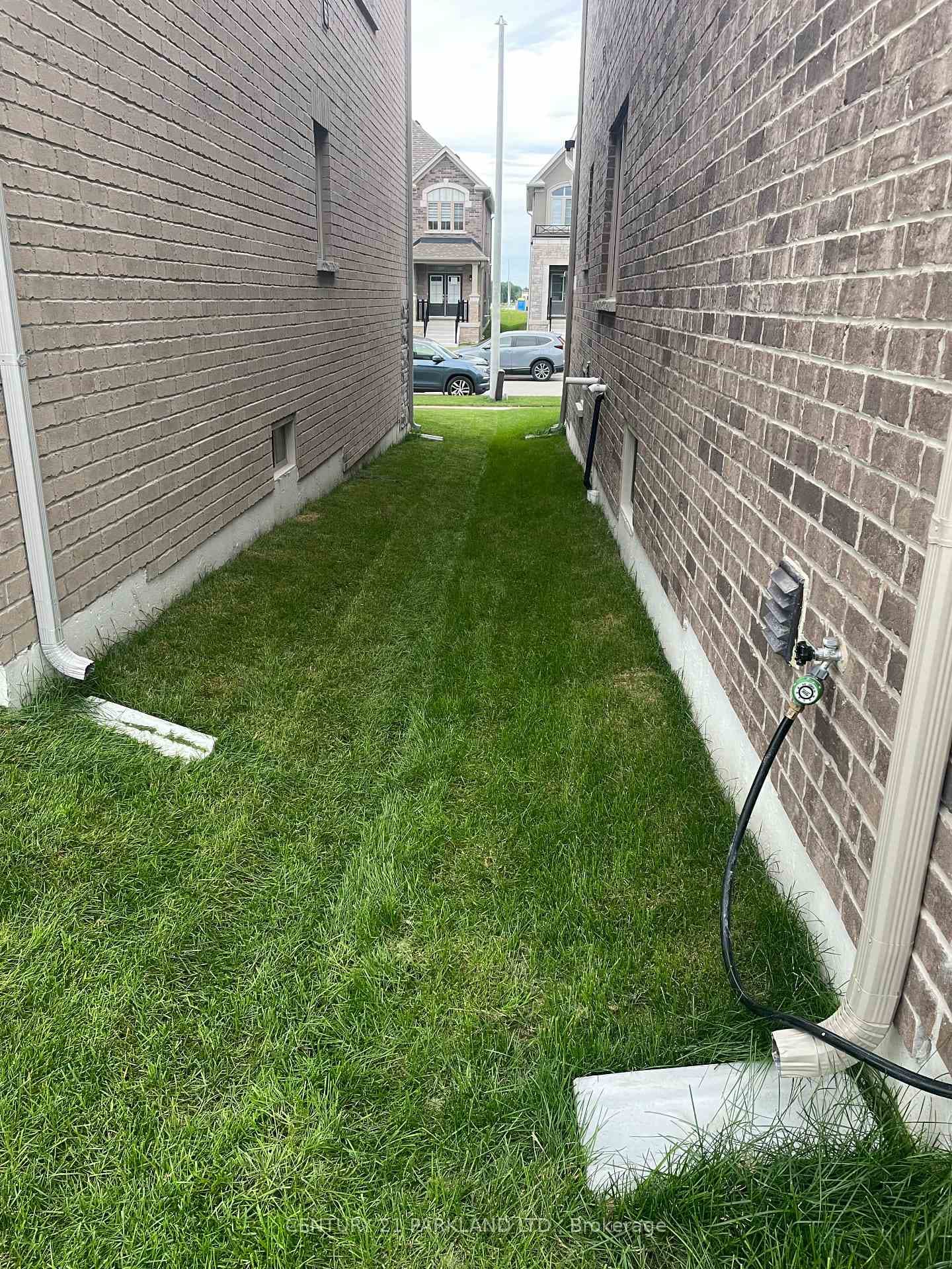 1258 Broderick Street photo 6