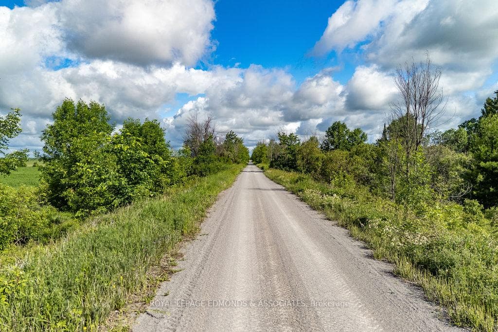 18115 Highway 17 Highway photo 48