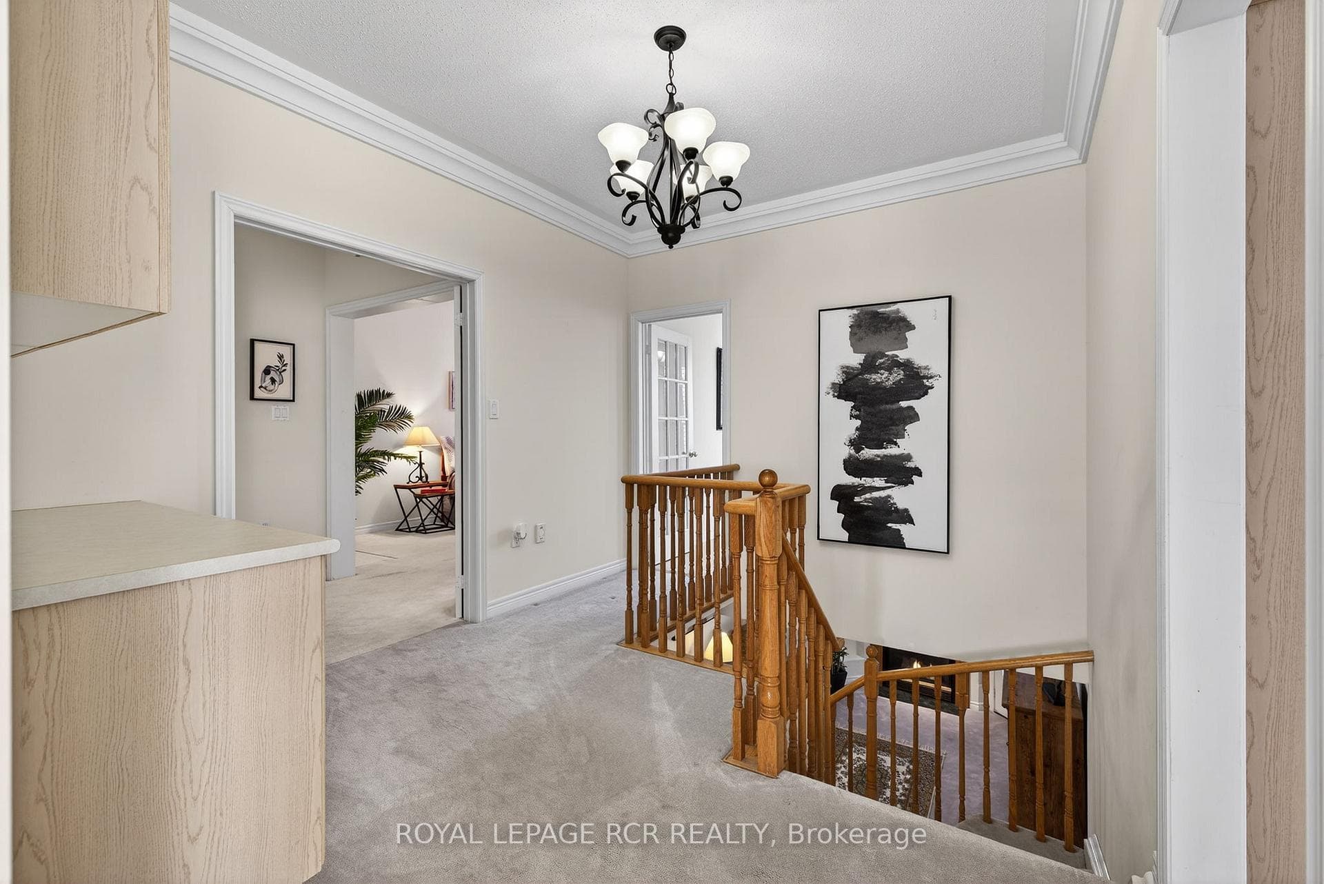 13 Willard Hunt Court photo 18