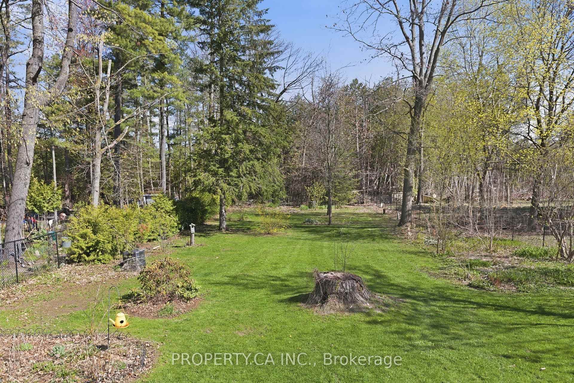 96 Ardagh Road photo 21