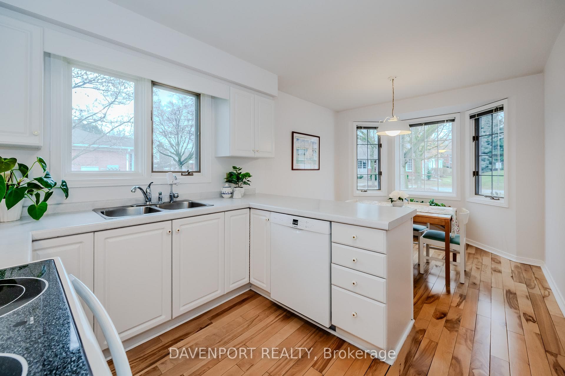 337 George Street Unit 4 photo 13