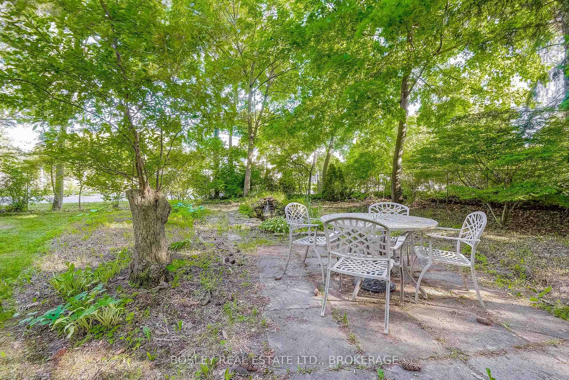 Lot (back yard of 670 King St)