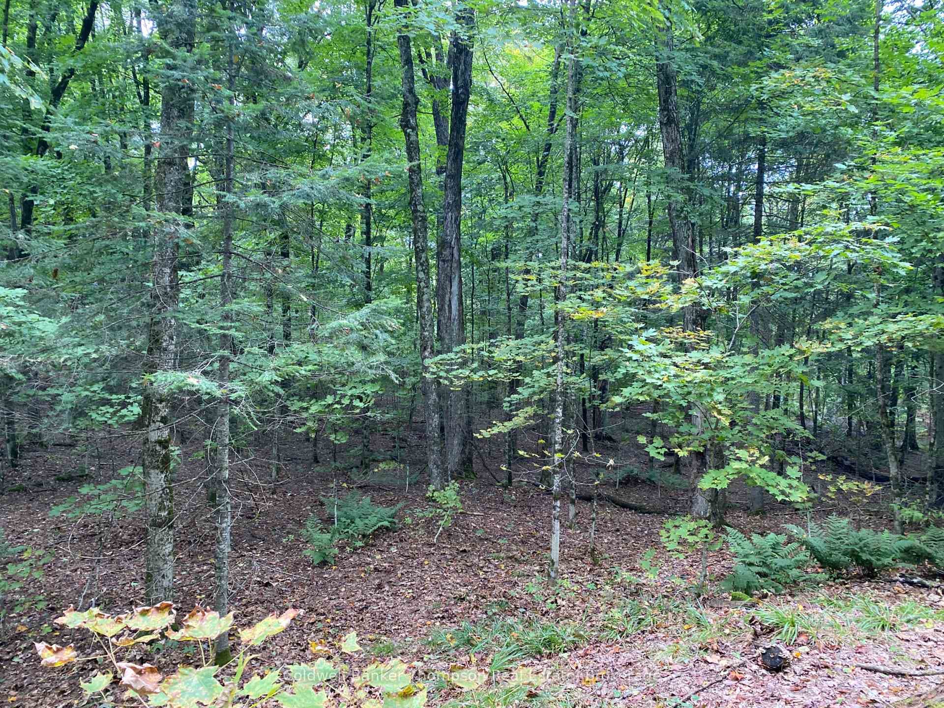 1080 Healey Lake Road photo 5