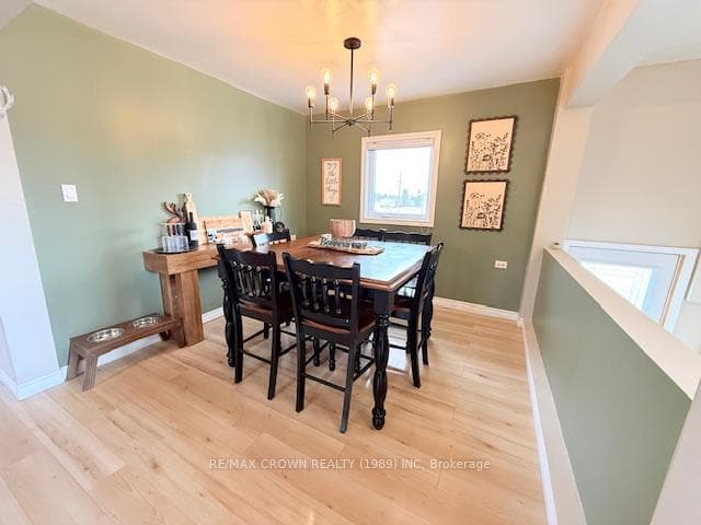 233 Brunetville Road photo 27