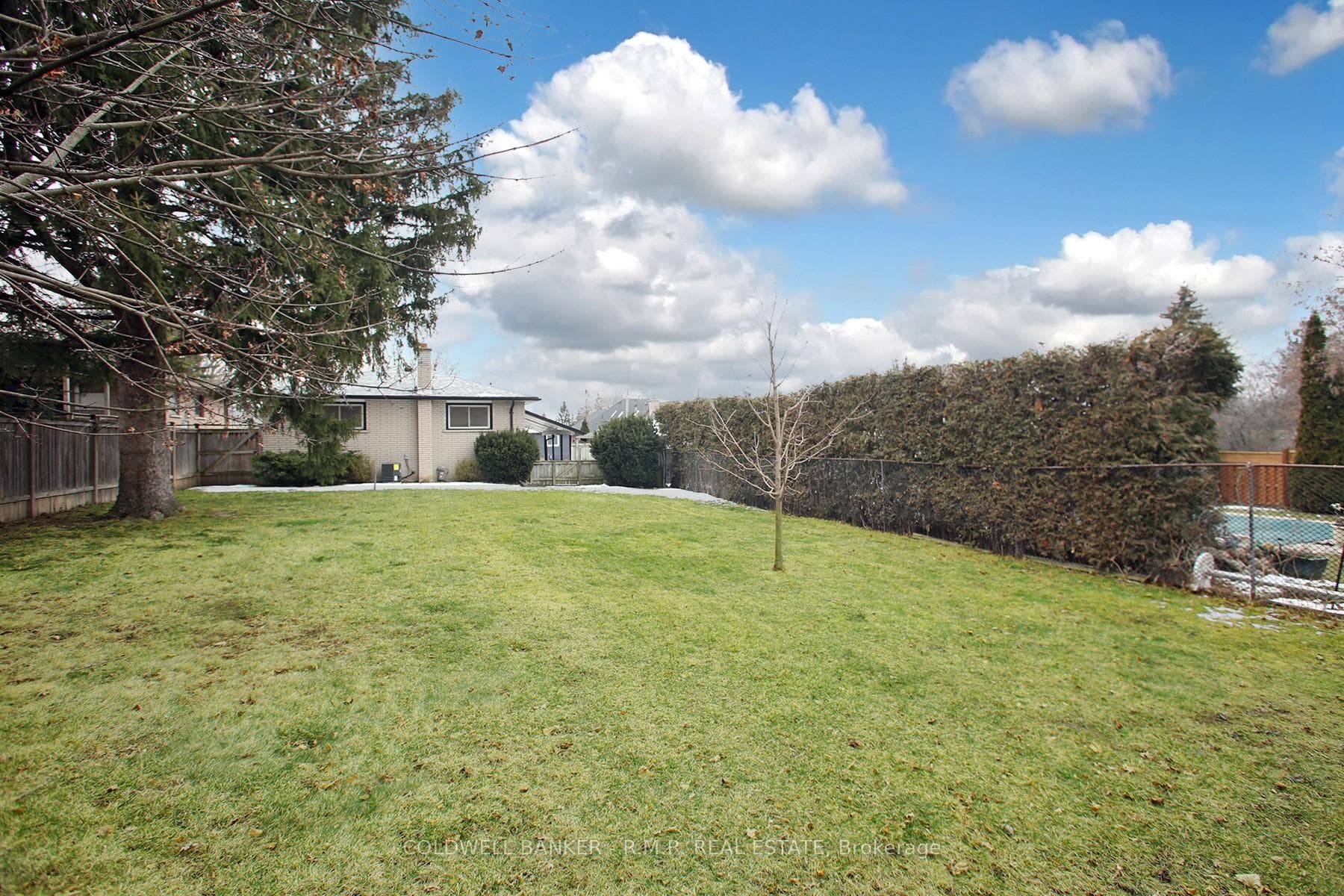 44 Cameron Street photo 23