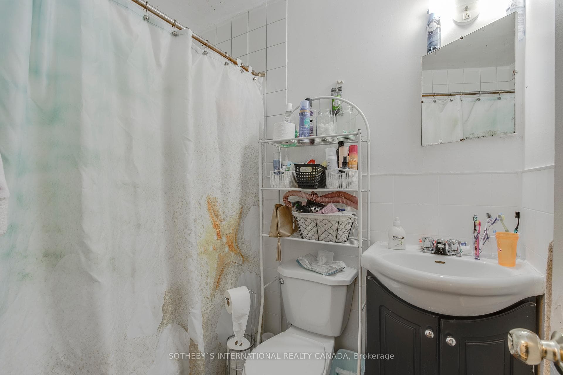 313 Midland Avenue photo 20