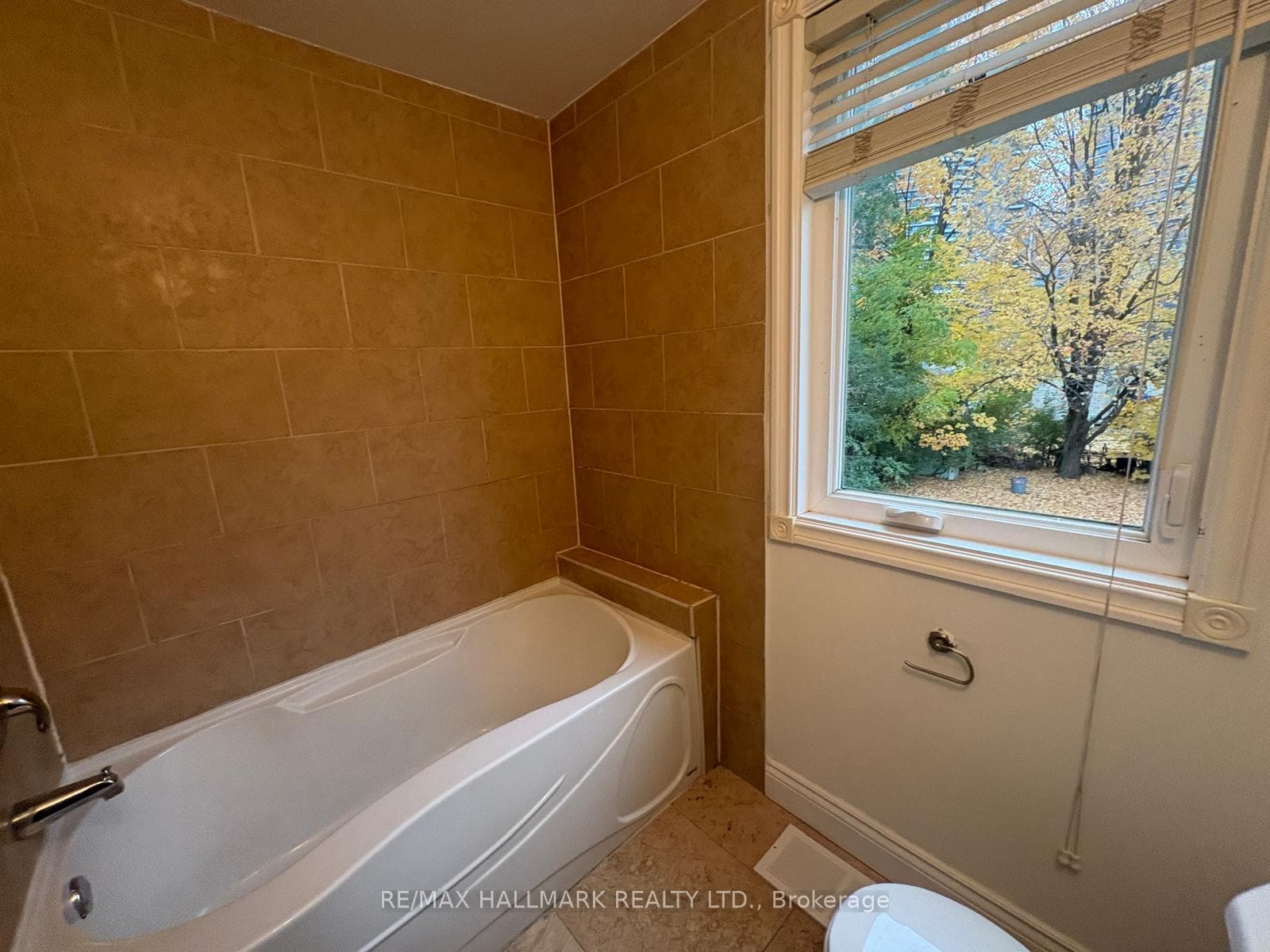 18 Woodward Avenue photo 16