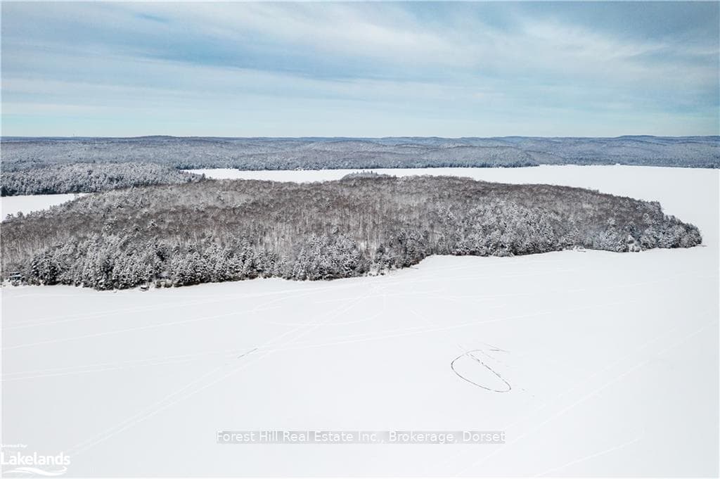 16750 KAWAGAMA LAKE N/A photo 23