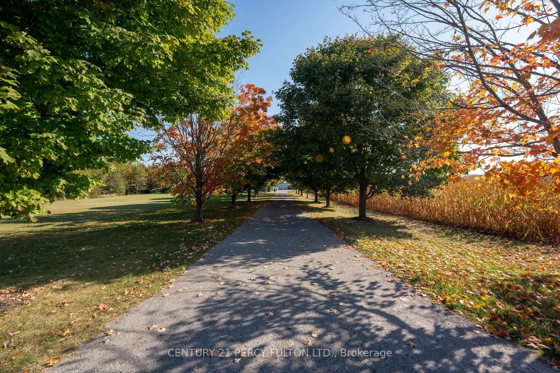5659 Gilmore Road photo 24