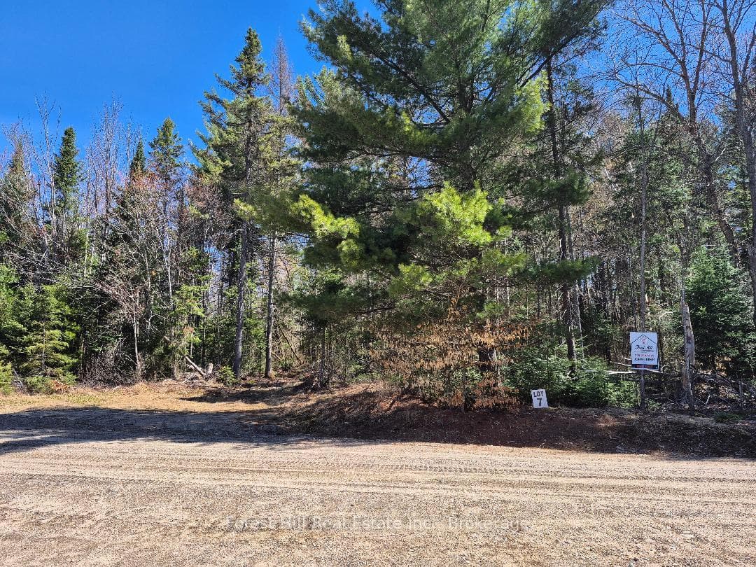 Lot 7 trail into the lake
