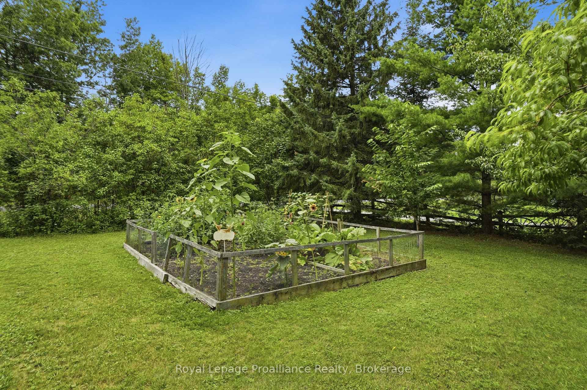 384 Carson Road photo 35