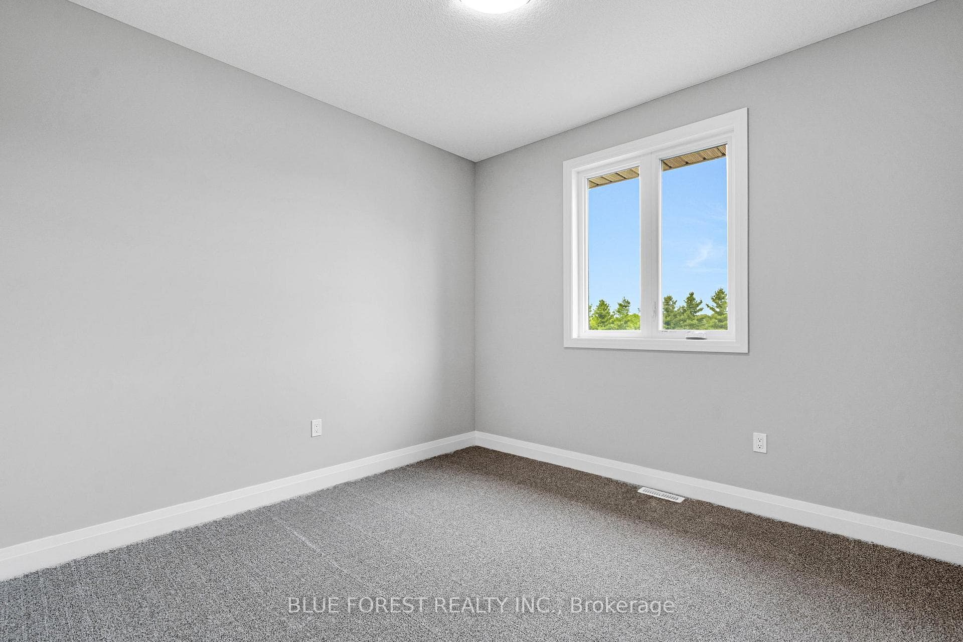 147 SHIRLEY Street photo 23