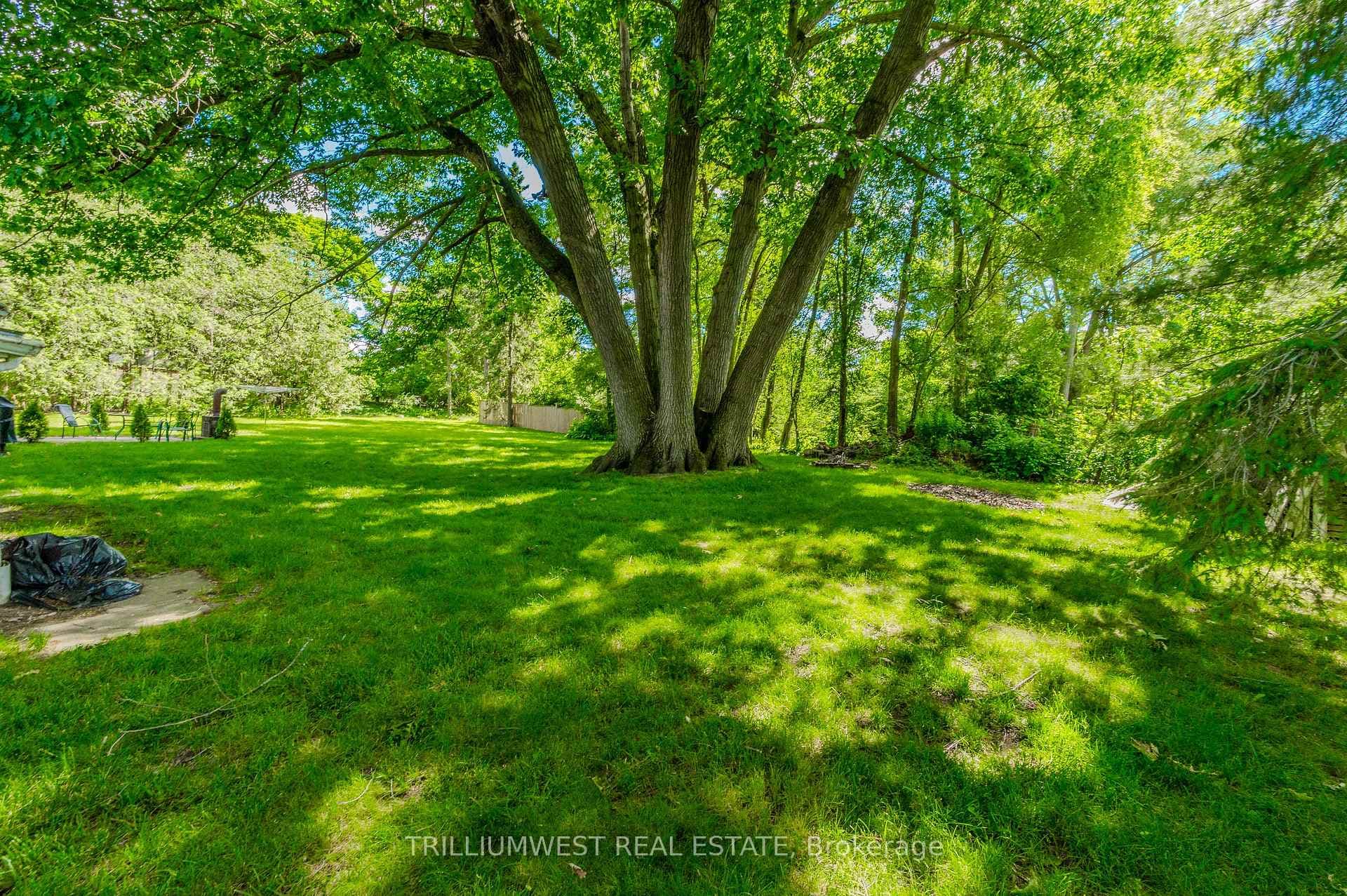 61 Limerick Drive photo 40