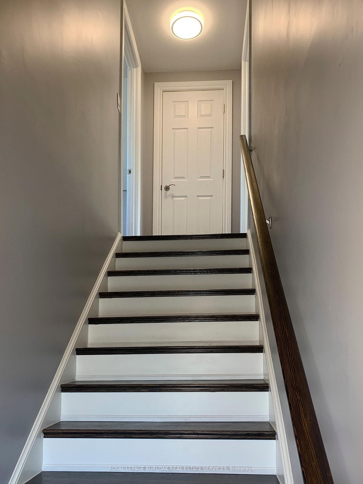 1 Mahony Avenue photo 9