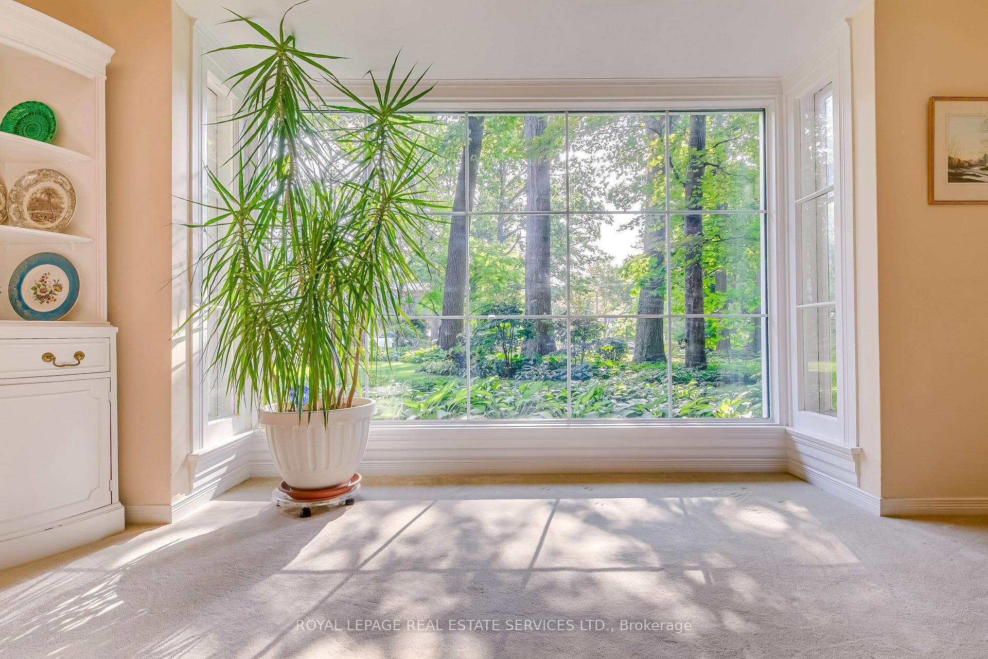 199 Kenollie Avenue photo 8